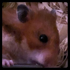 Meet your Posher, Jack